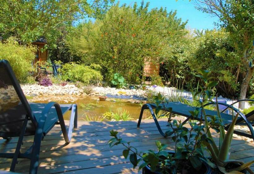 Les Ecologites De La Rochelle