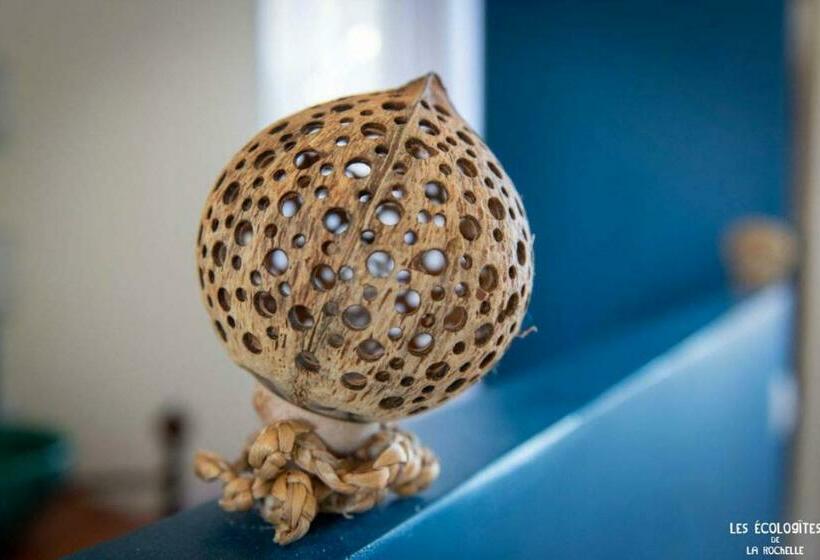 Les Ecologites De La Rochelle