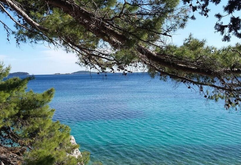 פנסיון Guest House Medine