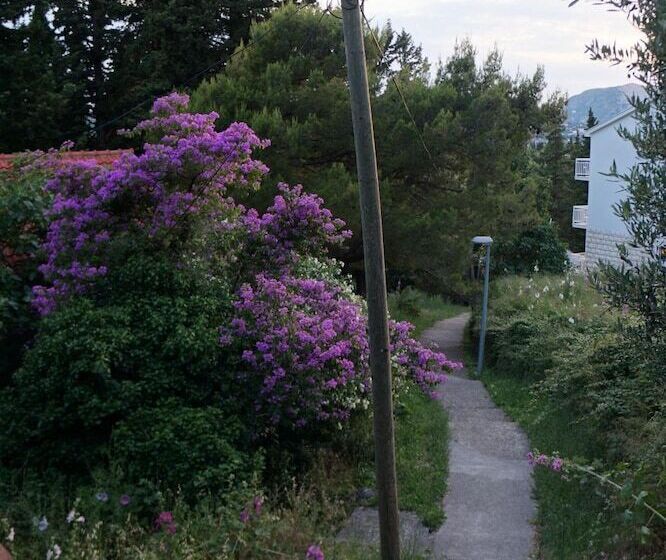 פנסיון Guest House Medine