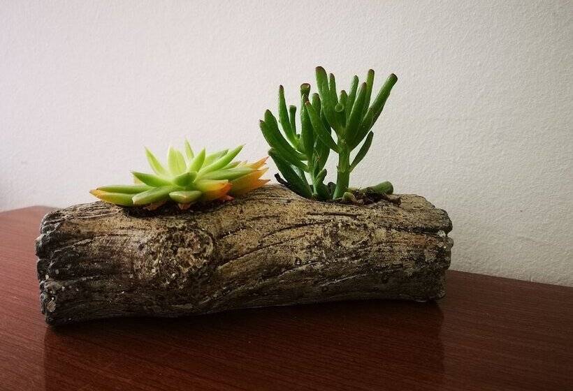 Пансион Guest House Medine