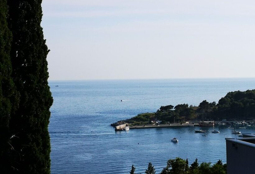 פנסיון Guest House Medine