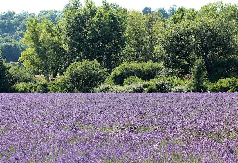 Пансион Villa Colibri