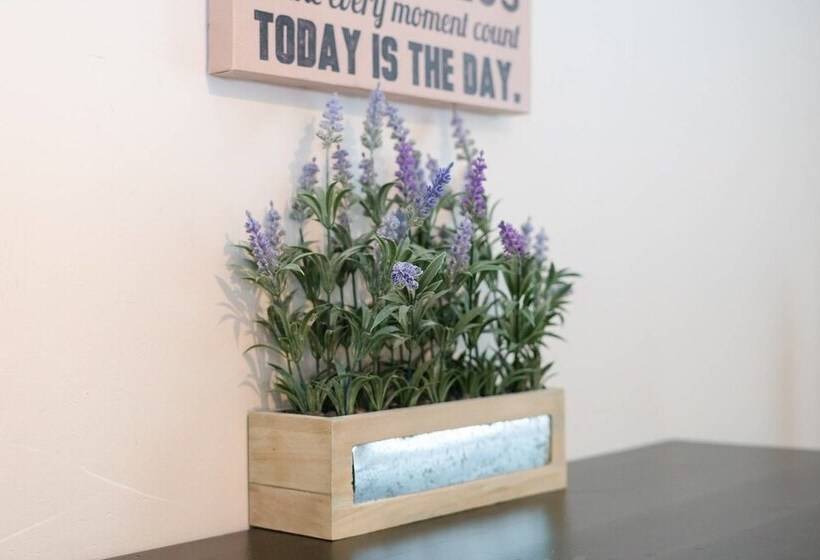 The Cozy Corner A Capitol Hill Escape