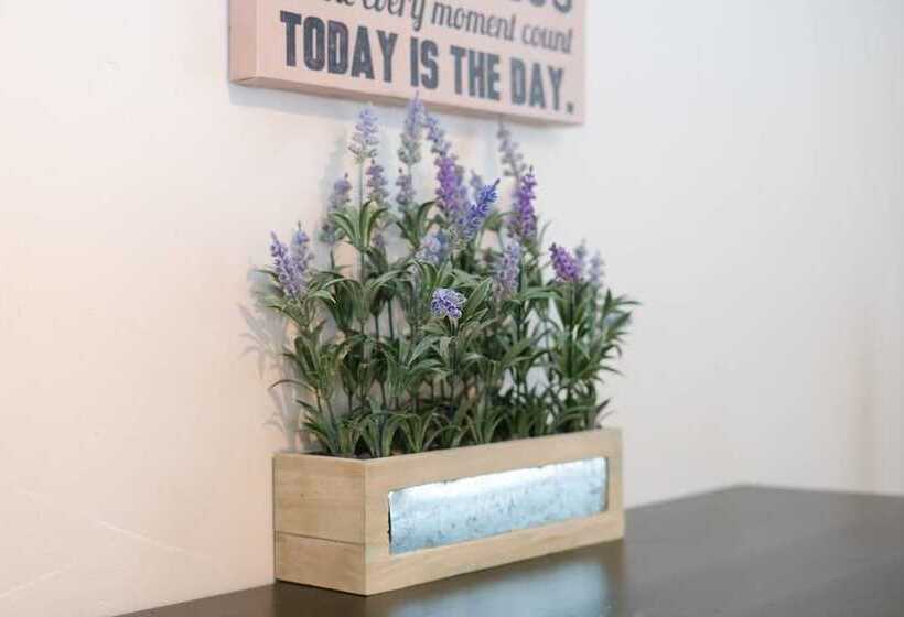 The Cozy Corner A Capitol Hill Escape