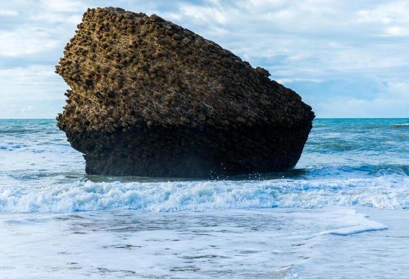 Apartamento Los Naranjos