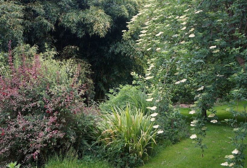 Apartamentos La Collada