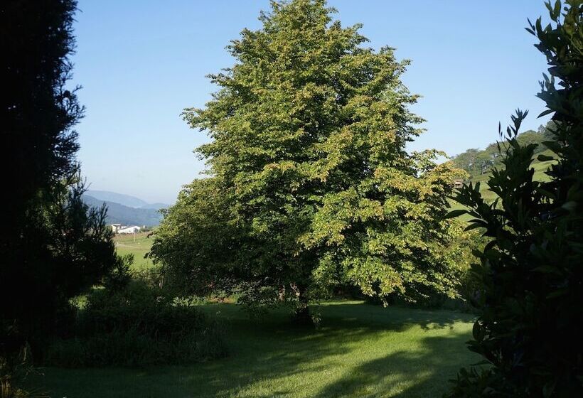 Apartamentos La Collada