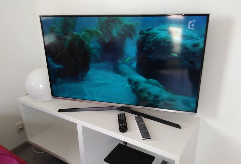 Appartement 2 Pièces Avec Grande Terrasse