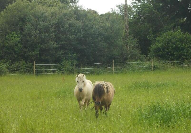 ベッドアンドブレックファースト Manoir Tregont Mab