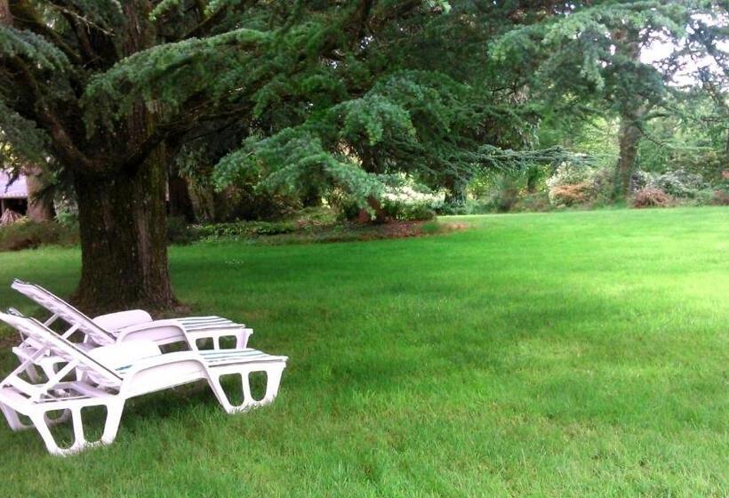 ベッドアンドブレックファースト Manoir Tregont Mab