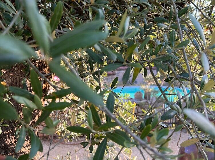 Отель Ecolodge Mombret Haut