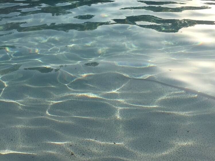 Отель Ecolodge Mombret Haut