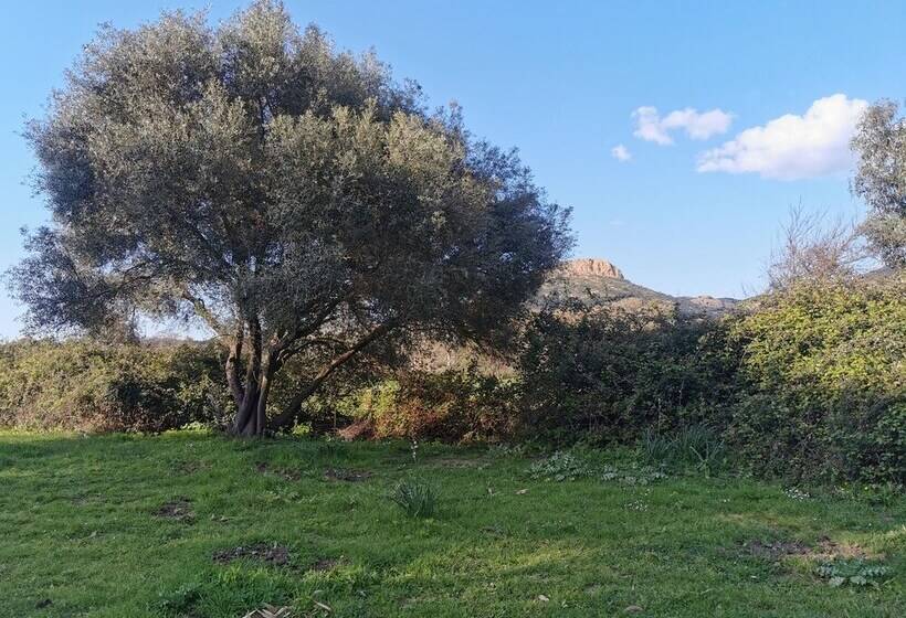 Отель Village Camping  De L Ostriconi