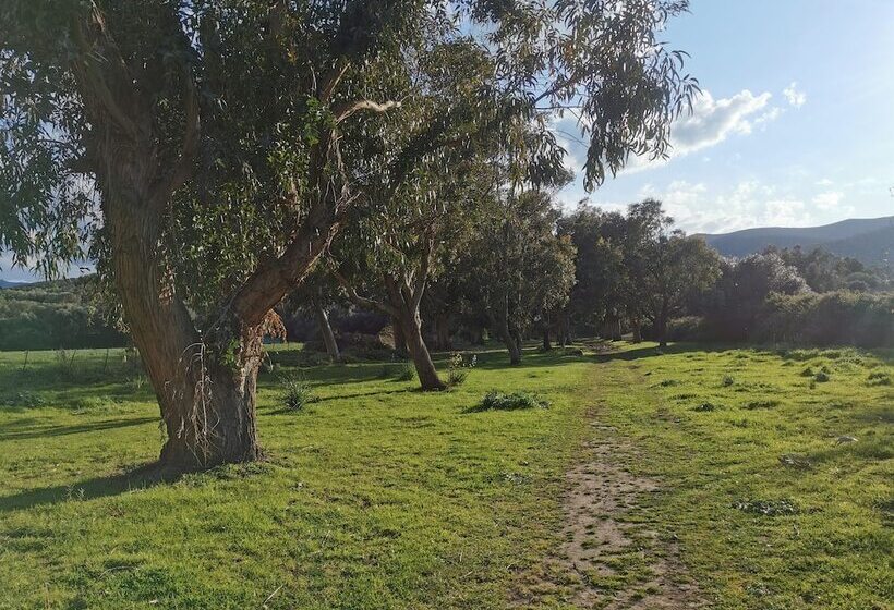 Отель Village Camping  De L Ostriconi