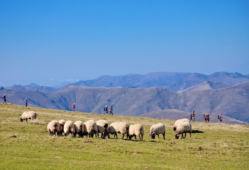 בית מלון כפרי Vvf Résidence Pays Basque Saint Jean Pied De Port