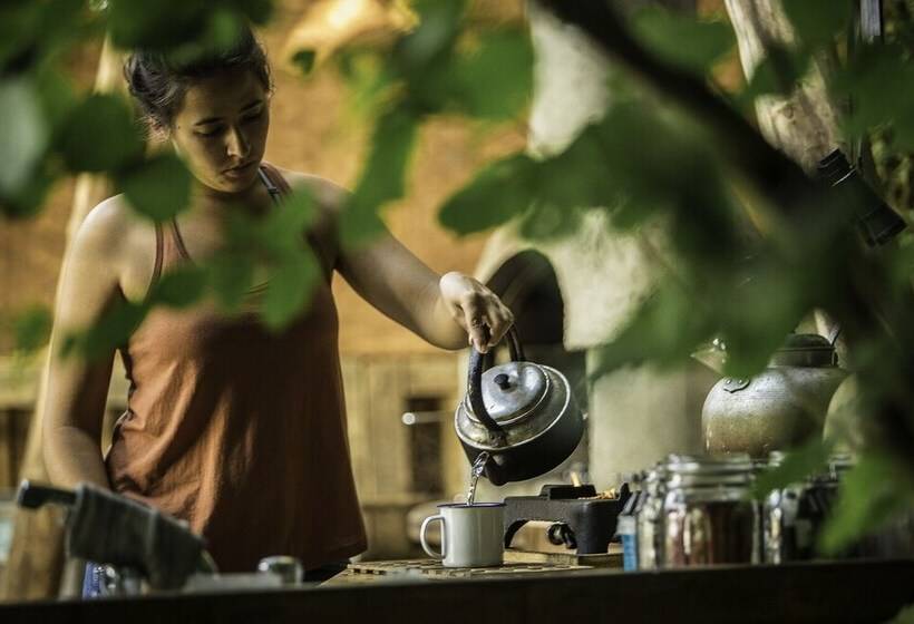 Overe   The Farm Camp