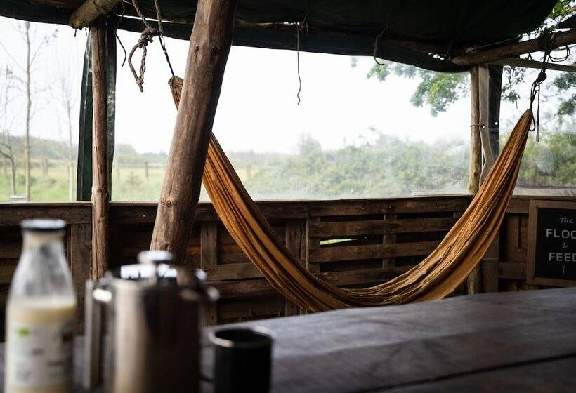 Overe   The Farm Camp