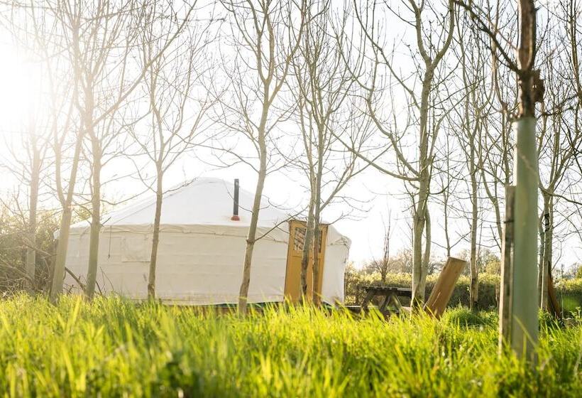 Overe   The Farm Camp