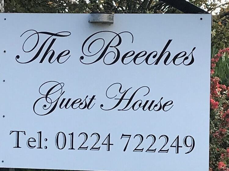 بنسيون Beeches Guest House