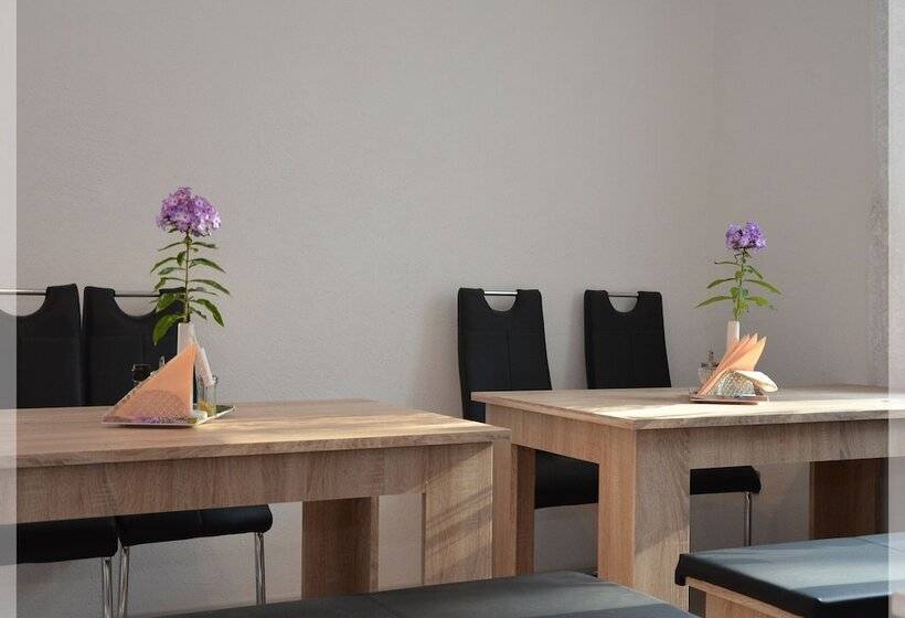 بنسيون Villa Renner