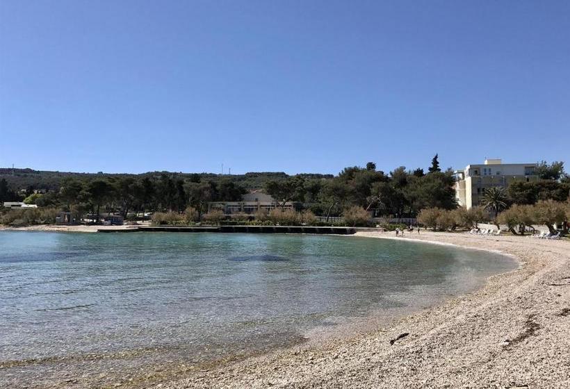 Apartment Dot Deluxe