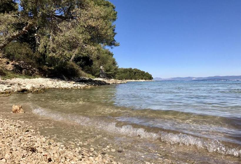 Apartment Dot Deluxe