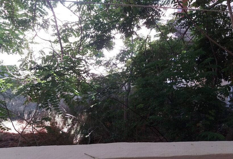 Maria House In The Port Of Kalymnos