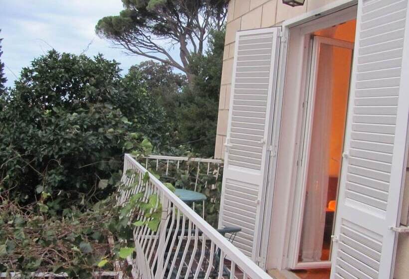 פנסיון Guest House Zec Lopud