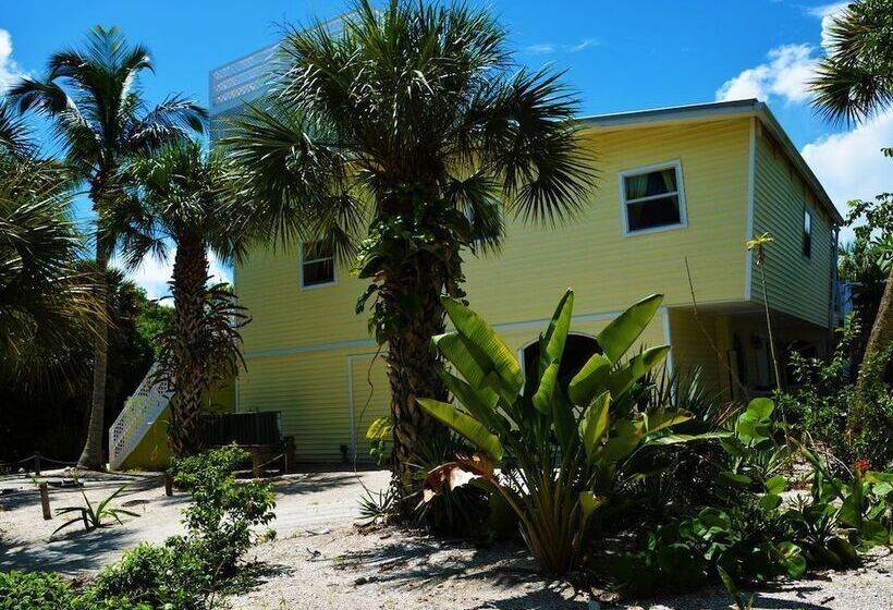 The Little Oasis Beach House