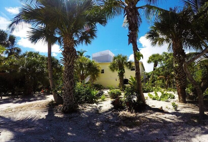 The Little Oasis Beach House