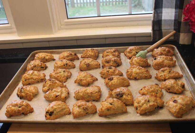 فندق Allen Harbor Rentals