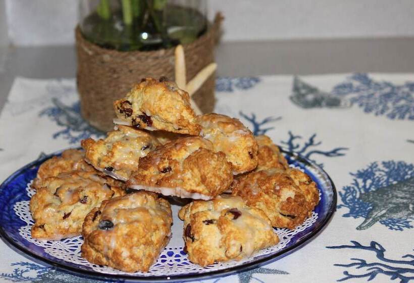 فندق Allen Harbor Rentals