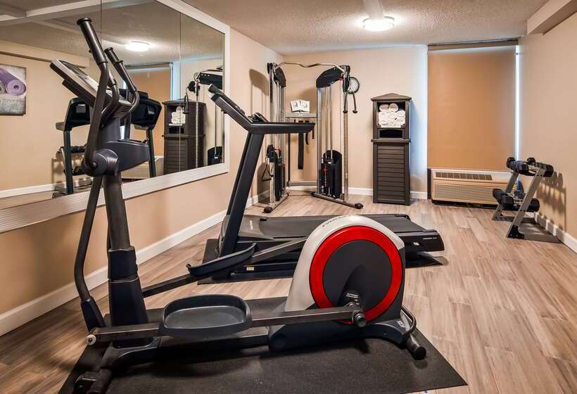 فندق Best Western Plus Yadkin Valley Inn & Suites