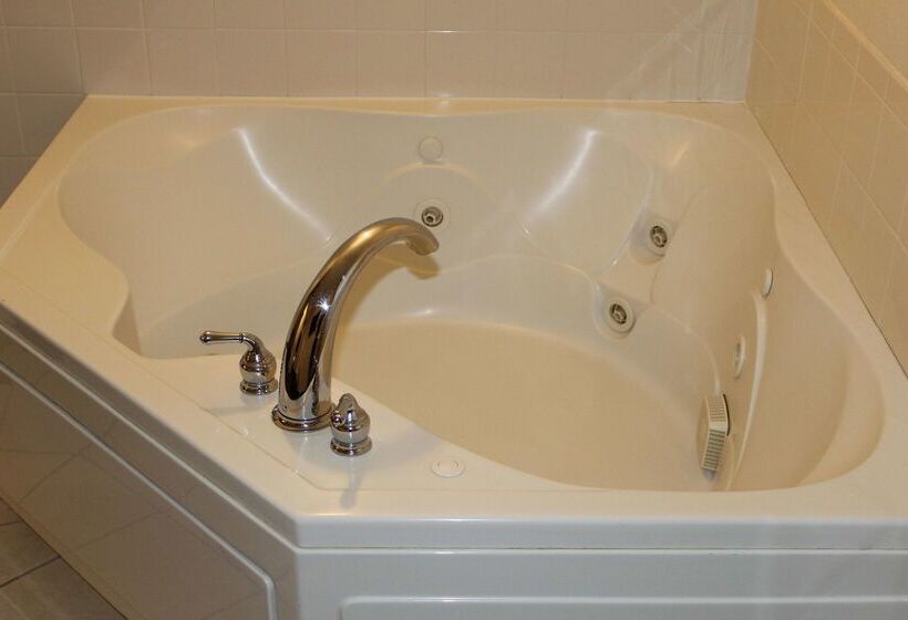 فندق Best Western Plus Yadkin Valley Inn & Suites