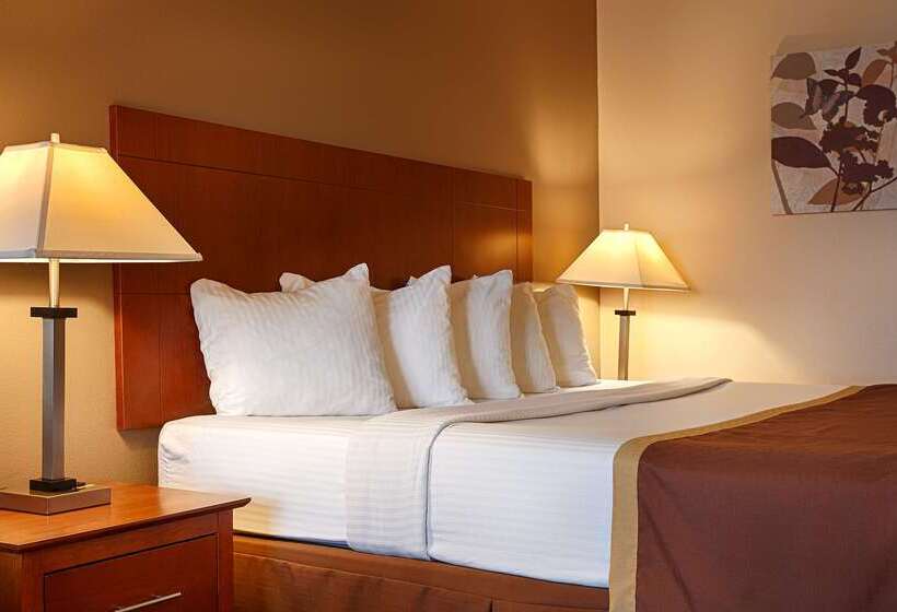 فندق Quality Inn & Suites