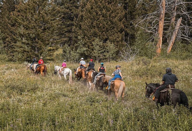 فندق Heart Six Ranch