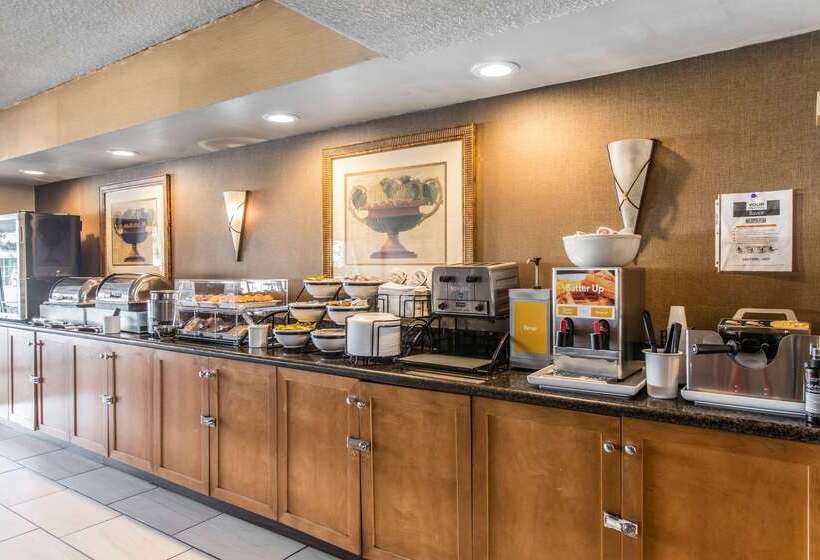 Отель Comfort Inn & Suites Denver Northfield