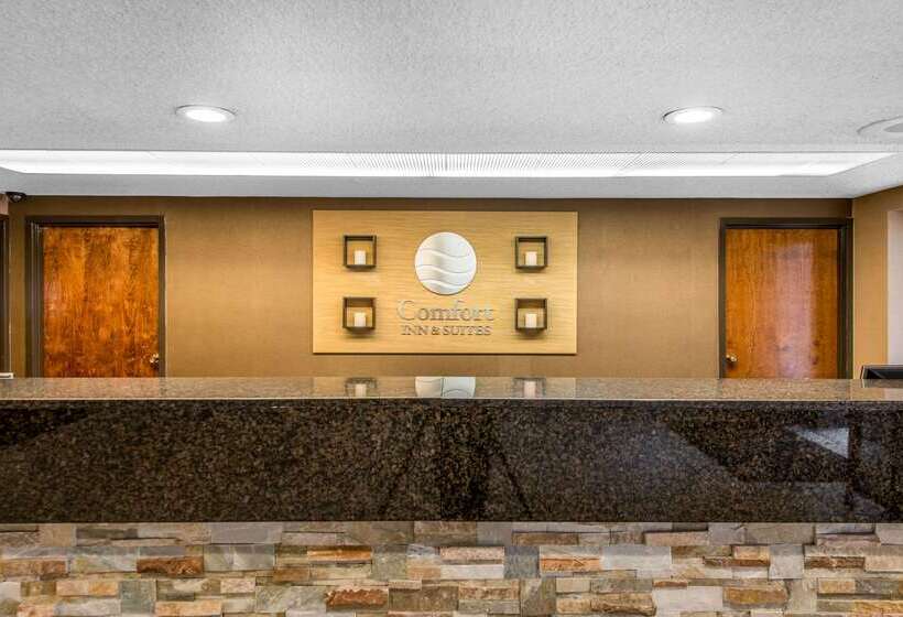 Отель Comfort Inn & Suites Denver Northfield