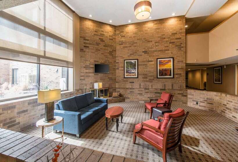 Отель Comfort Inn & Suites Denver Northfield