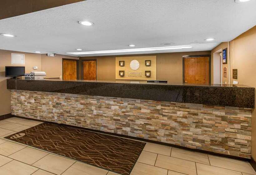 Отель Comfort Inn & Suites Denver Northfield