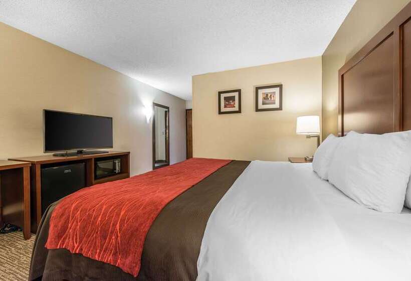Отель Comfort Inn & Suites Denver Northfield