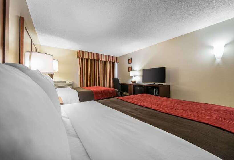 Отель Comfort Inn & Suites Denver Northfield