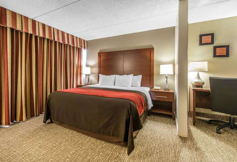 Отель Comfort Inn & Suites Denver Northfield