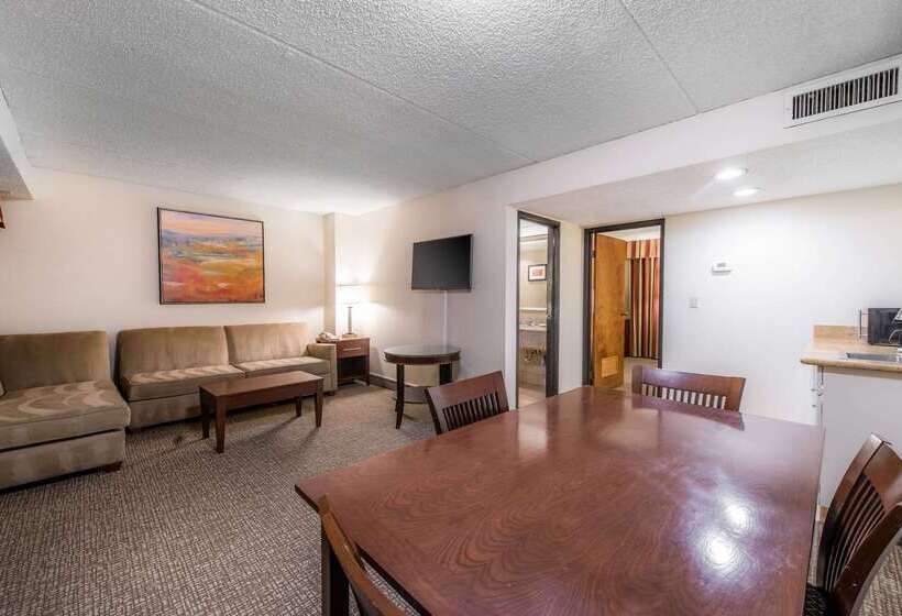 Отель Comfort Inn & Suites Denver Northfield