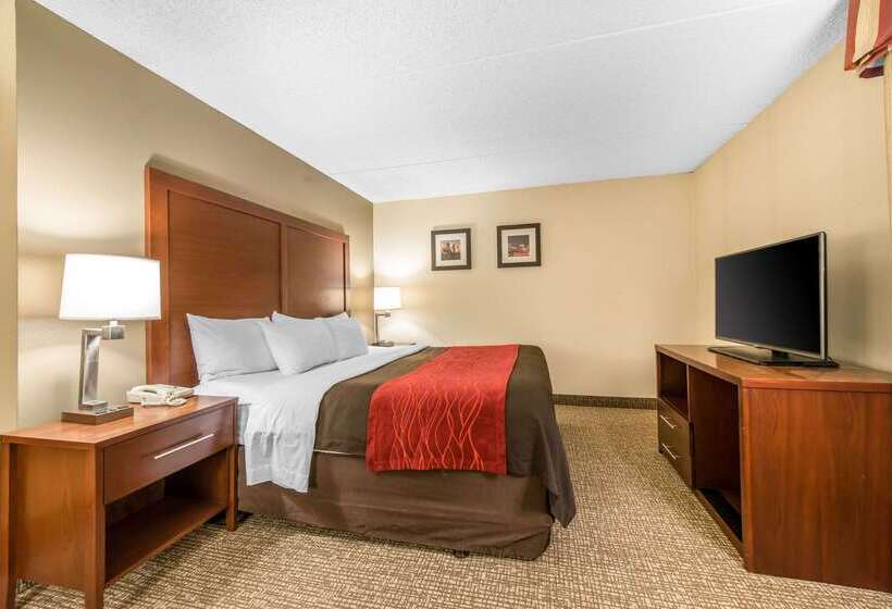 Отель Comfort Inn & Suites Denver Northfield