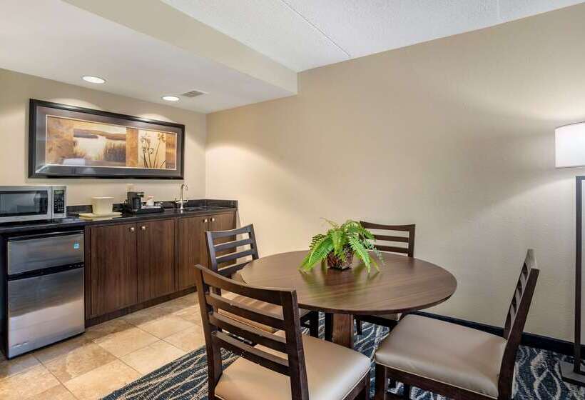 فندق Comfort Inn & Suites Newark  Wilmington