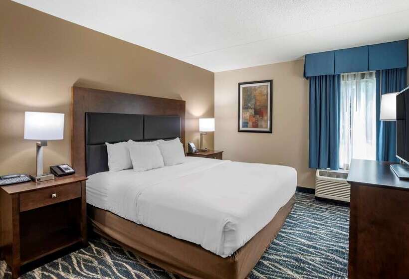 فندق Comfort Inn & Suites Newark  Wilmington