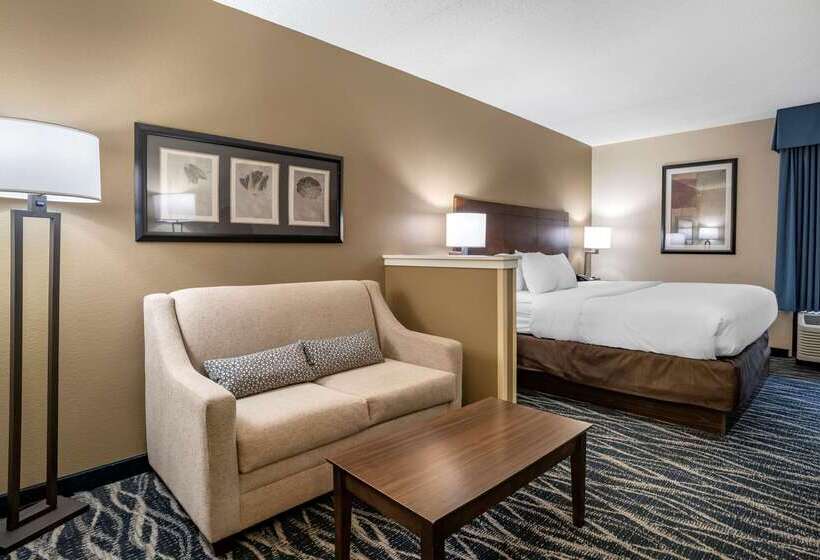 فندق Comfort Inn & Suites Newark  Wilmington