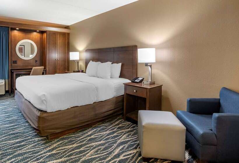 فندق Comfort Inn & Suites Newark  Wilmington